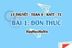Đơn thức, Bậc của đơn thức là gì? Đơn thức thu gọn và Đơn thức đồng dạng là gì? Ví dụ? Toán 8 bài 1 [b1c1kn1]